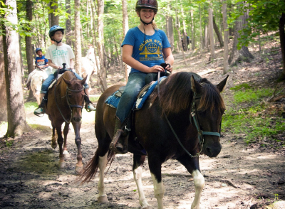 Horses for Sale: Raleigh, NC - Dead Broke Farm