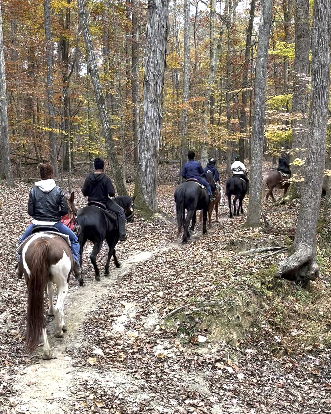 DBF Trail Riding in the Fall