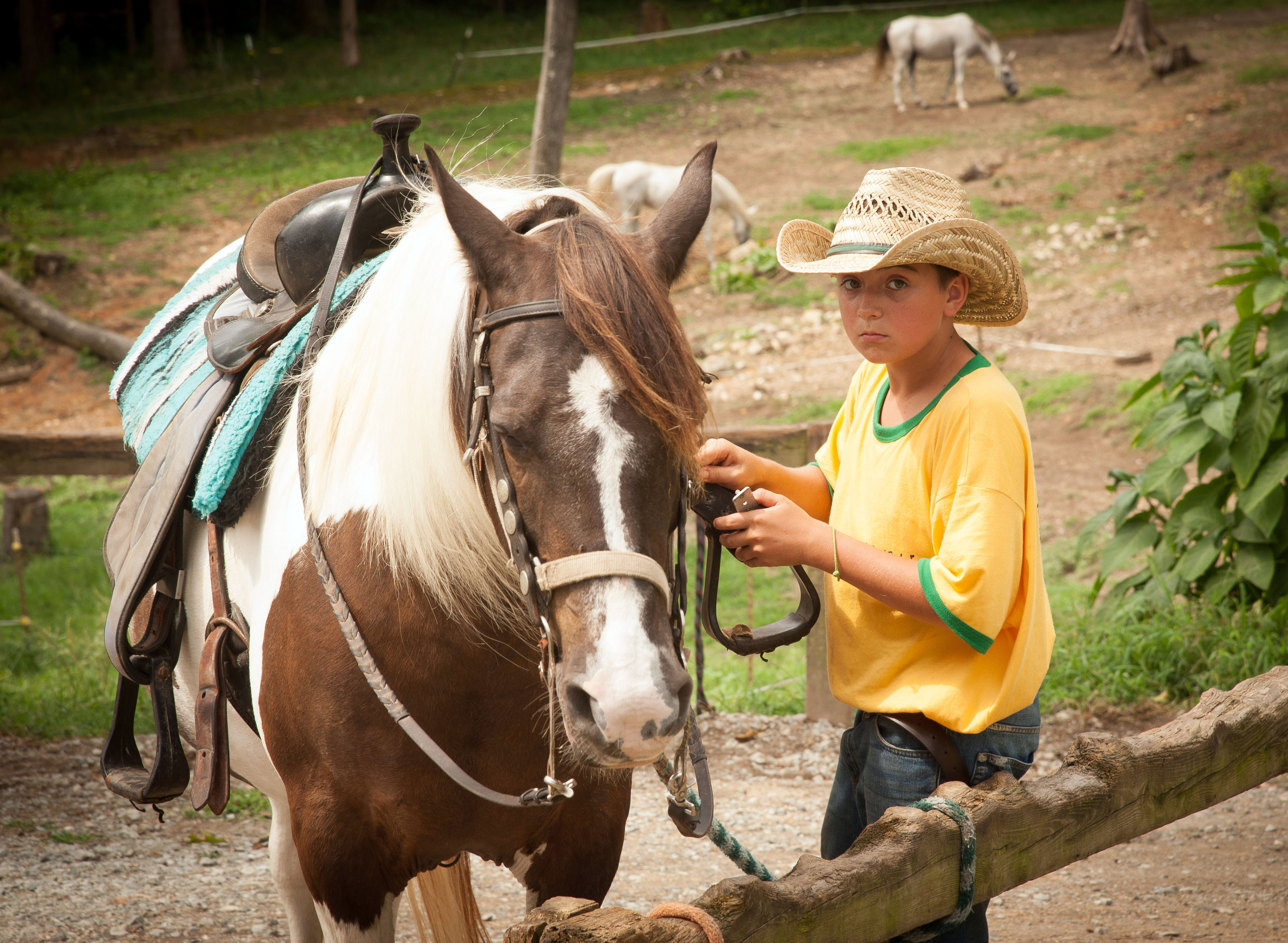 joey saddling gypsy