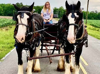 Directions to Dead Broke Farm: Horseback Riding - Raleigh, NC